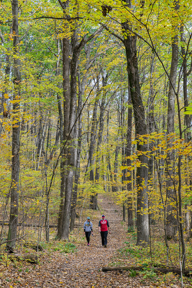 two hikers on the Ice Age Trail amid autumn foliage