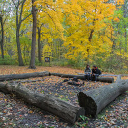 a couple sitting on one of the logs of a bonfire pit in a woodland