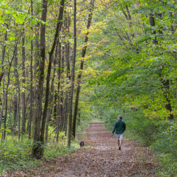 man walking dog on Greenway Trail