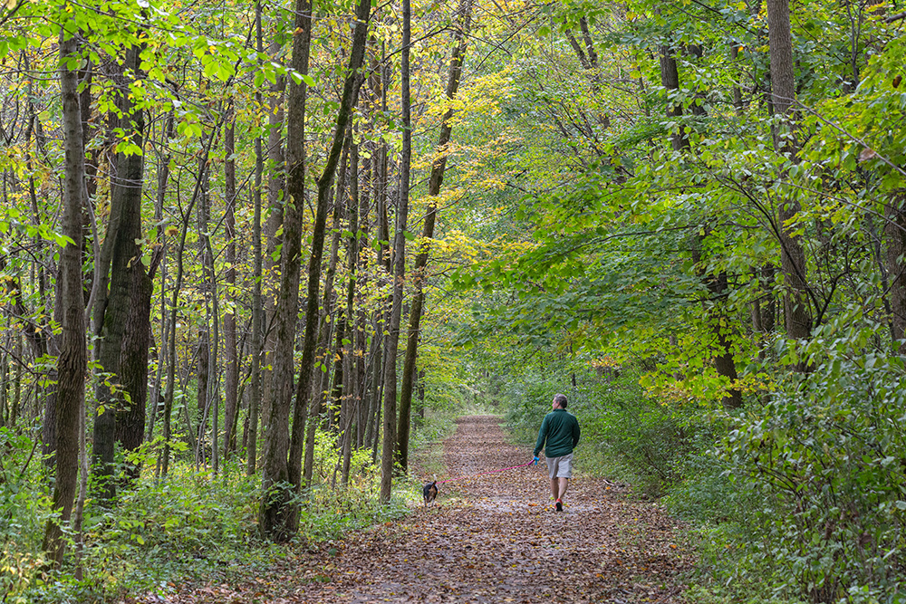 a man walking a dog on a paved trail through a woodland in Mound Zion Park