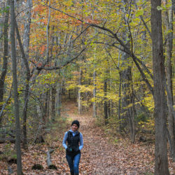 hiker on forest trail