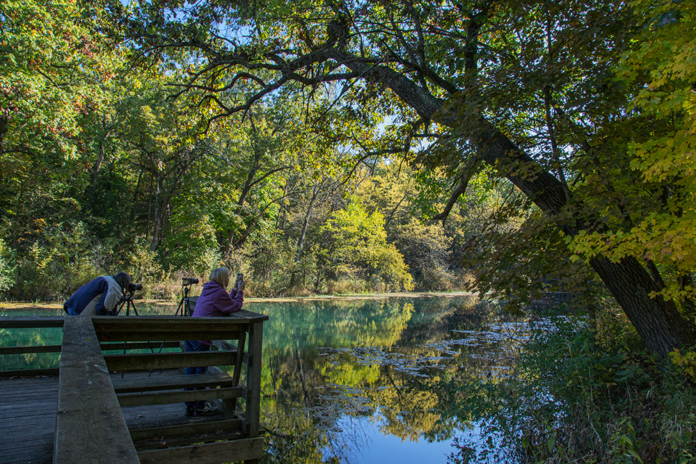 two photographers overlooking a pond surrounded by woods at Paradise Springs Nature Trail