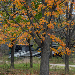 RV at campground