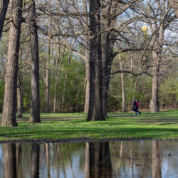 two people walking on trail through open trees