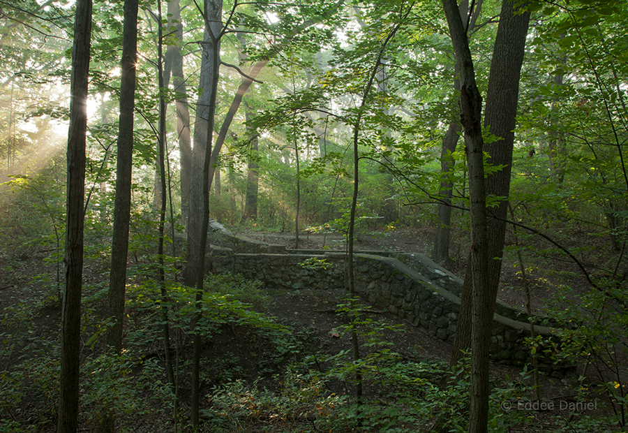 The ravine with ruined staircase at sunrise in summer