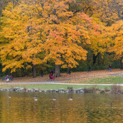 lagoon in autumn