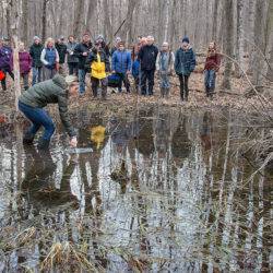 a group observing a naturalist with a trap in a wetland