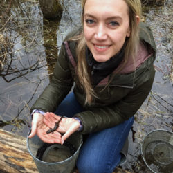 Wildlife biologist with salamander