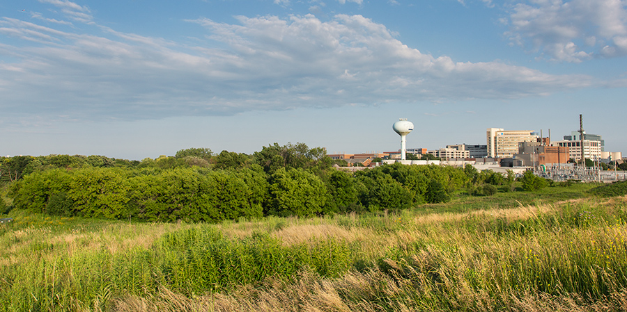 View of Sanctuary Woods and Milwaukee Regional Medical Center from County Grounds Park