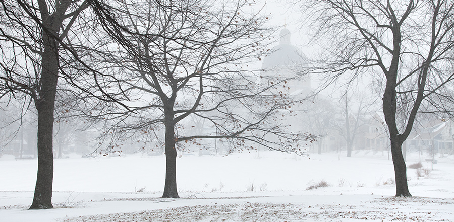 Kosciusko Park in winter snow storm