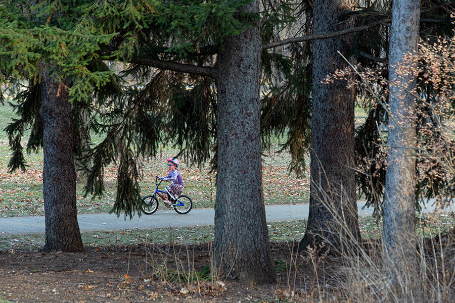 a girl on a bike on the Oak Leaf Trail seen through pine trees