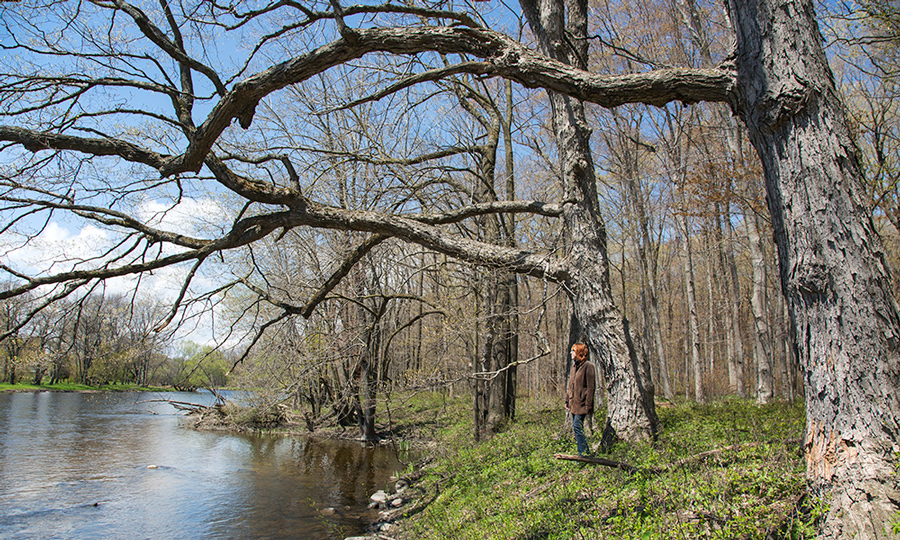 Artist in residence Gina Litherland at Bratt Woods Preserve on the Milwaukee River in Grafton