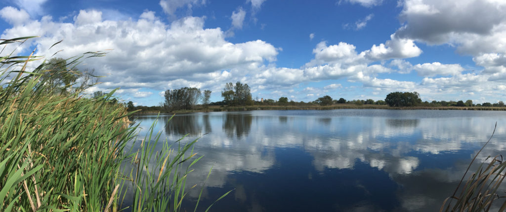 Panoramic view of lake and wetland at Nicholson Wildlife Refuge