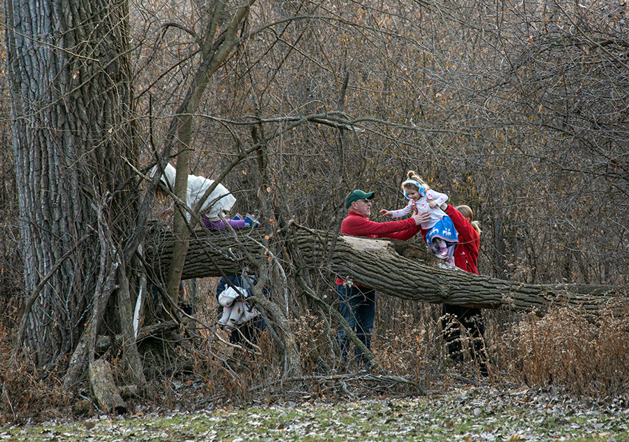 parents helping a young girl climb on a fallen log