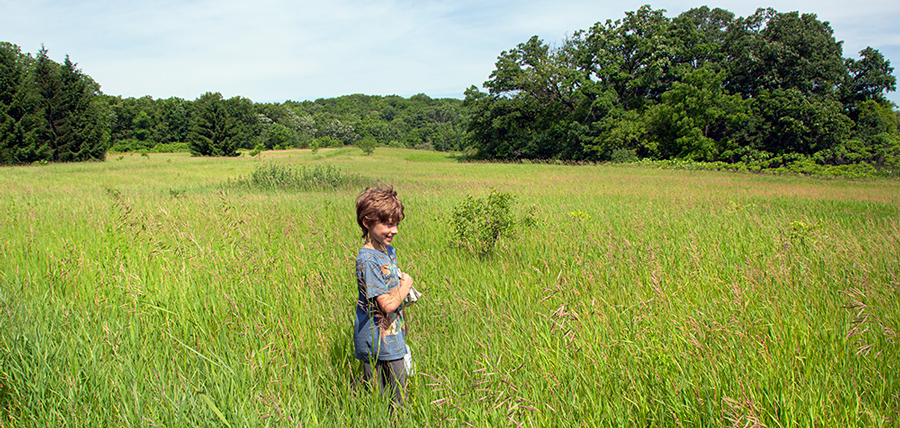 Boy walking in field