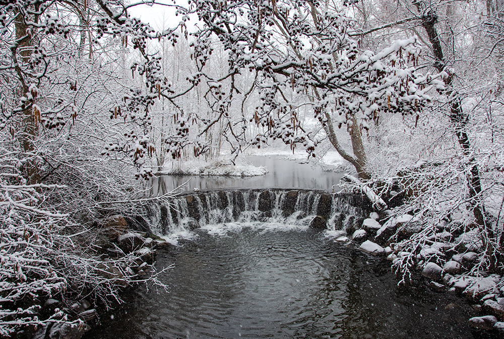 waterfall in snow at Whitnall Park