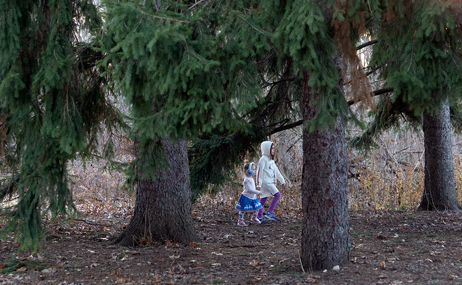 two young girls striding through a pine grove