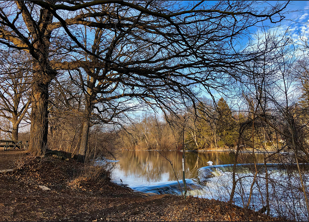 View of Kletzsch Park dam showing bluff and mature oaks