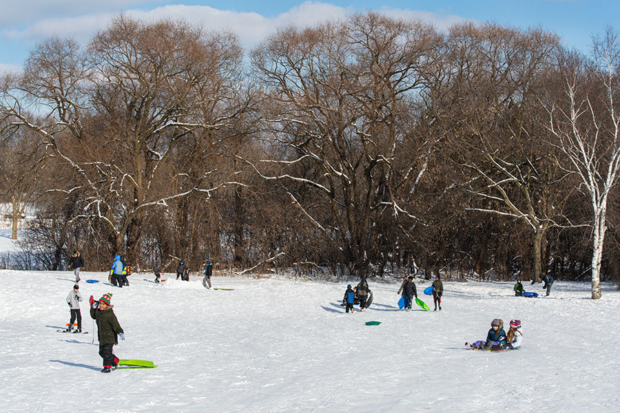 the bottom of the sledding hill