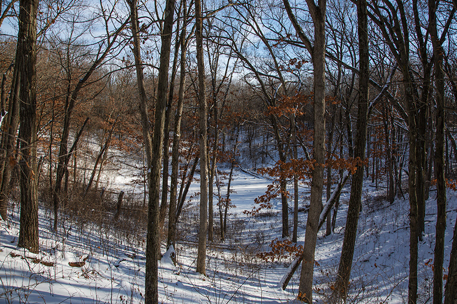 A kettle in winter