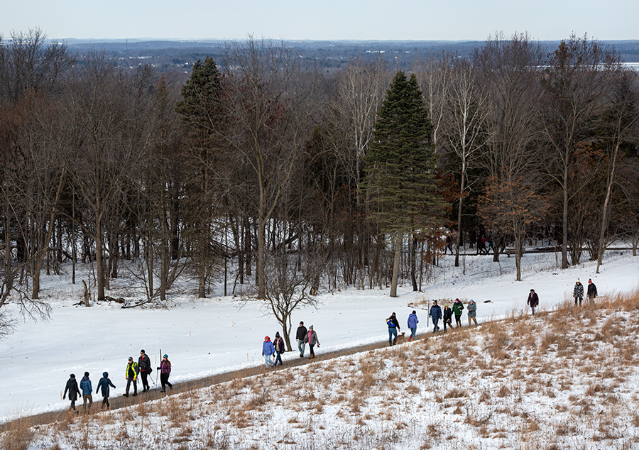 A group of hikers crosses a meadow on the accessible trail.