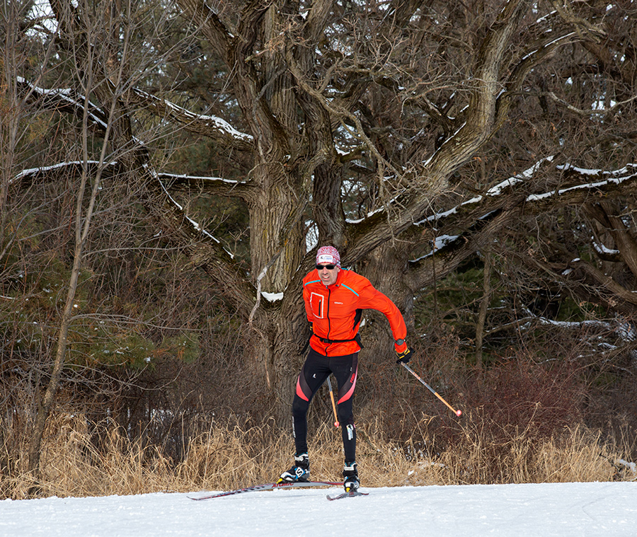 Cross country skier