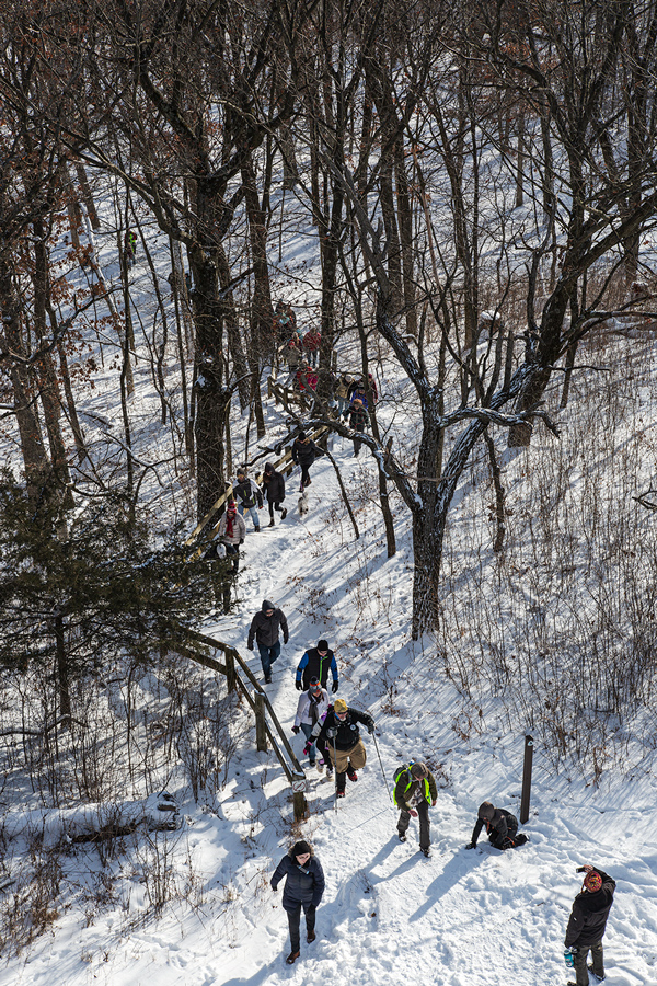 An aerial view of a group of hikers walking through a forest.