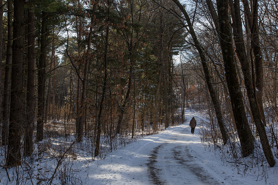 A solitary hiker on the paved, accessible hiking trail.