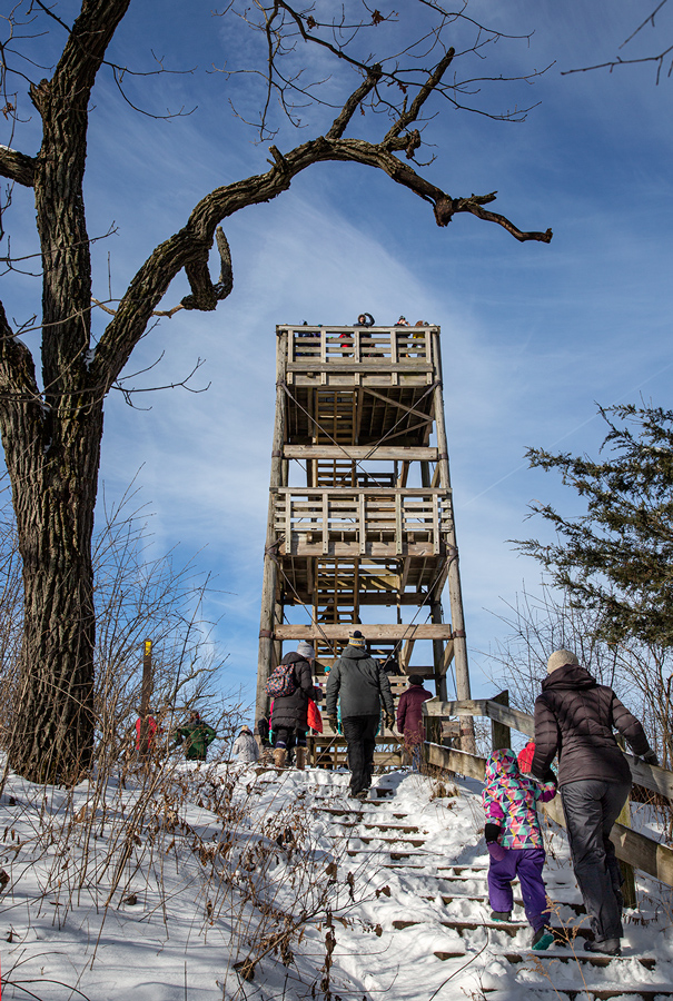 The view of the lookout tower from the trail.