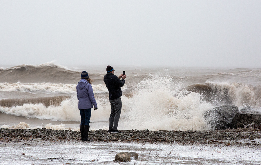 two people with cell phone and surf