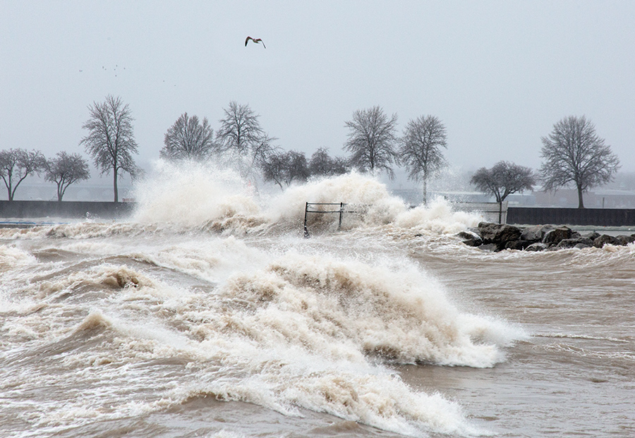 rugged surf at breakwater