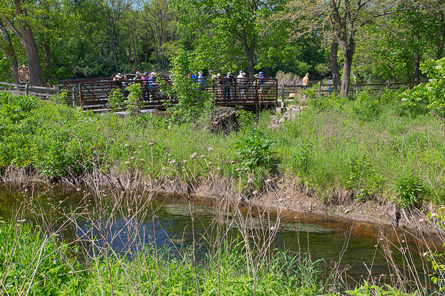 View of the Thiensville Fishway and Riverwalk