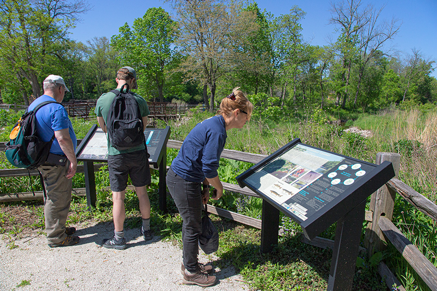 People viewing information plaques at Thiensville Fishway overlook.