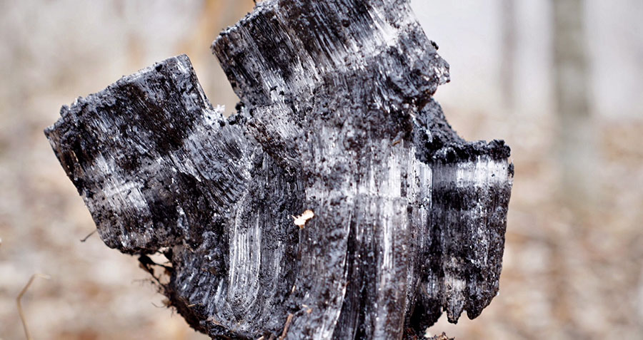 a block of frozen soil