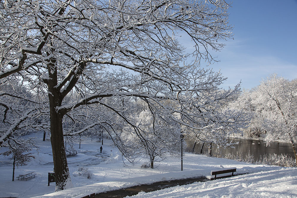 Hubbard Park in winter