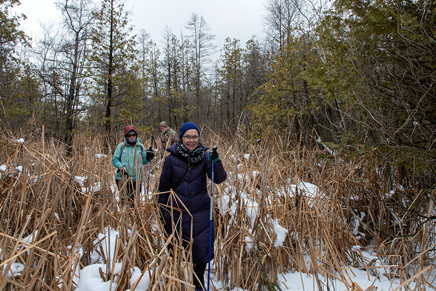 People hiking in a dense section of wetland forest