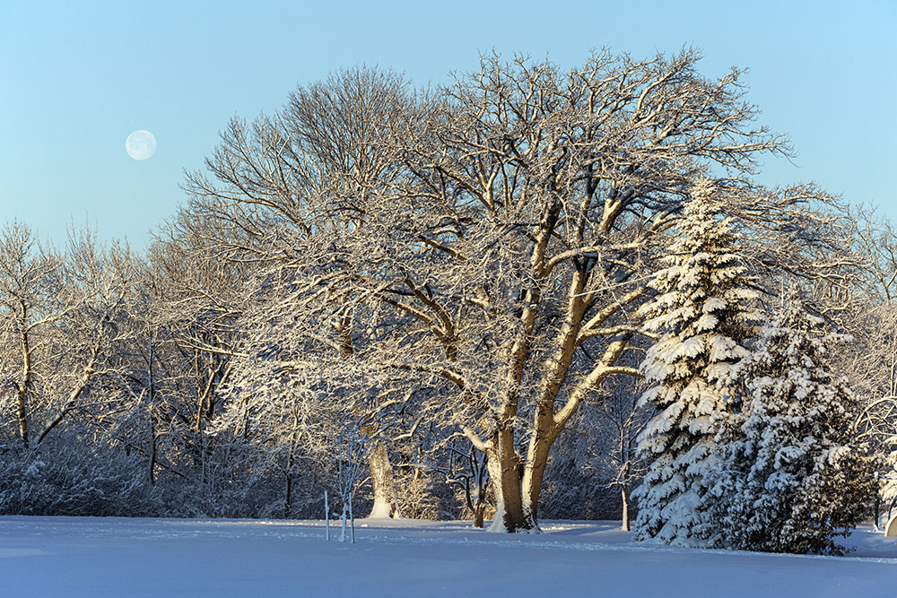 The full moon setting over snow-covered Estabrook Park