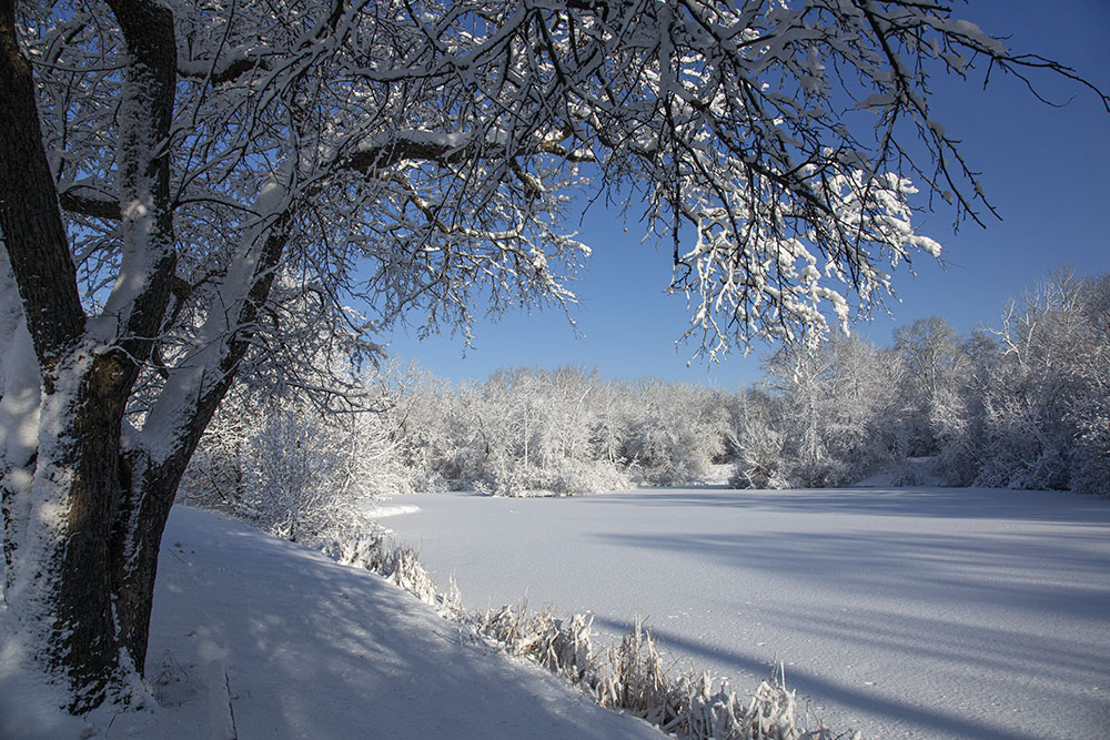 Frozen pond, Estabrook Park