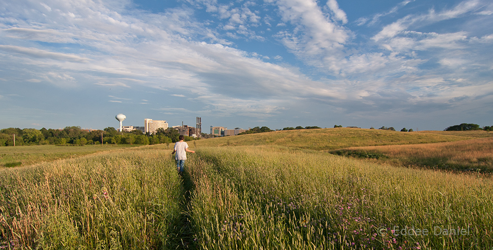 The rolling hills of County Grounds Park