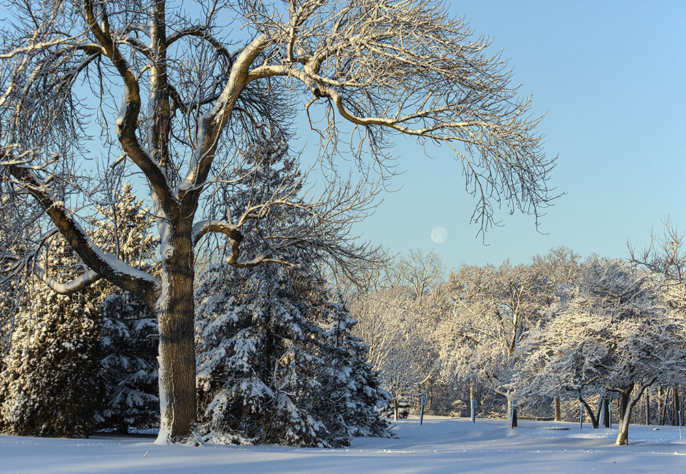 Full moon setting over Estabrook Park