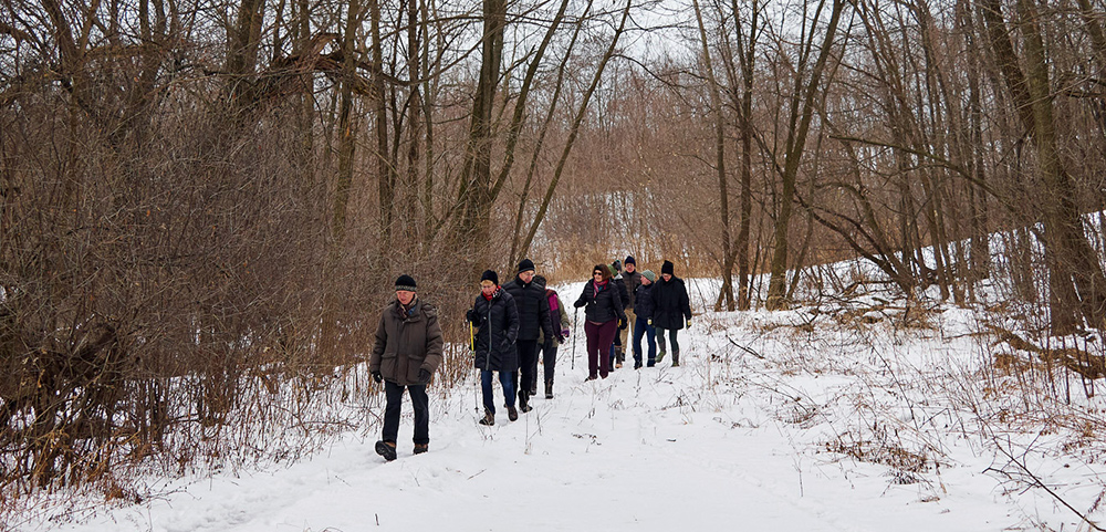 A line of hikers on a woodland trail