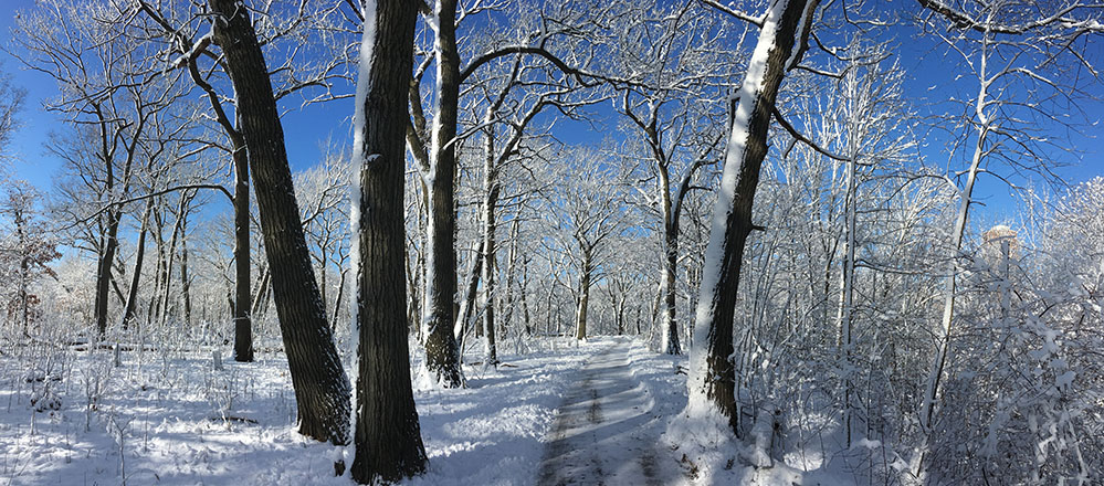 Riverside Park panorama in winter