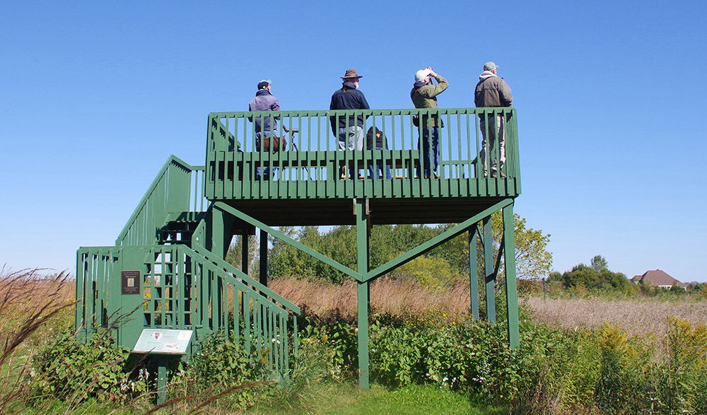 Observation tower.