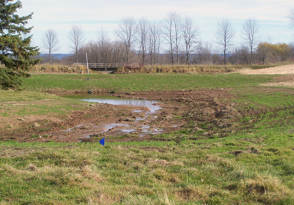 Pond excavation