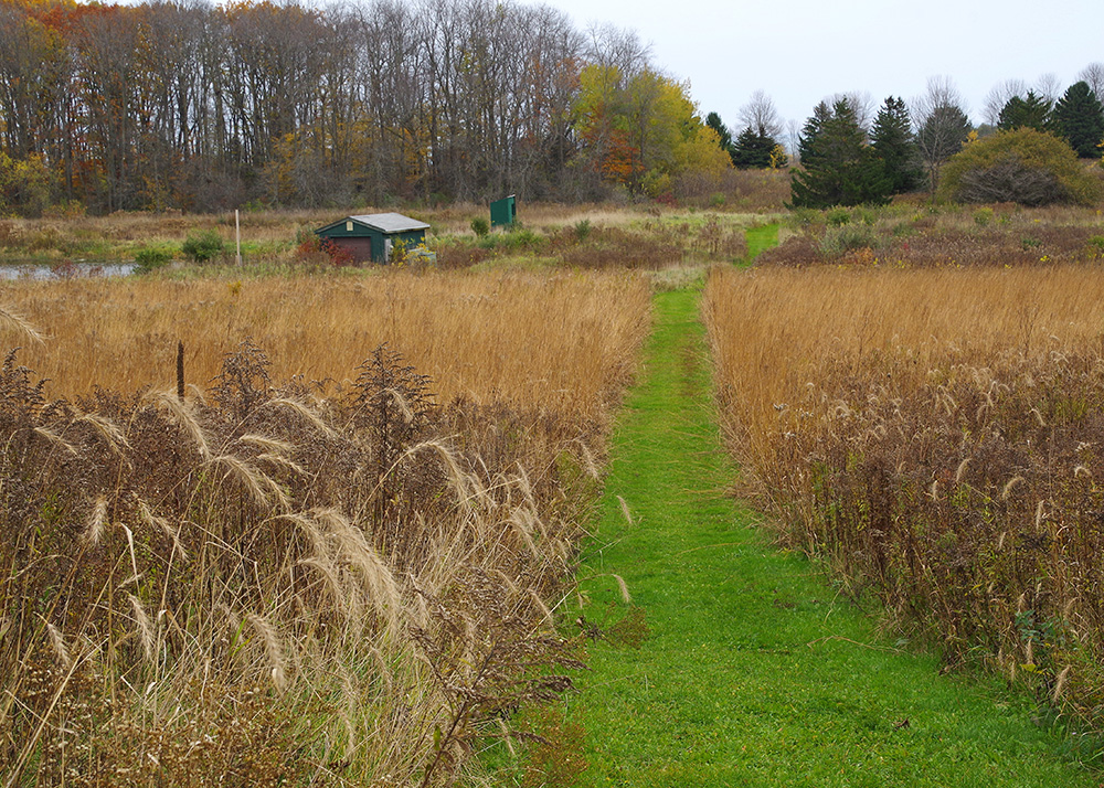 Prairie path.