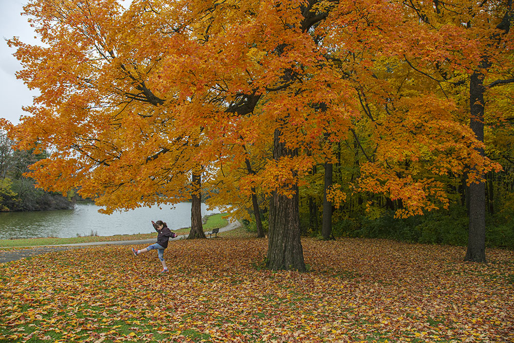 A girl kicking fallen leaves under a bright orange maple tree in Jackson Park