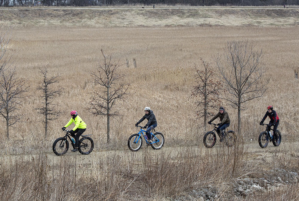 Four cyclists on the basin trail at Milwaukee County Grounds