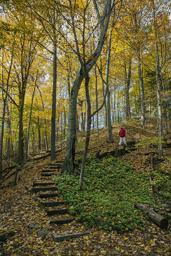 A man walking down a stair into the Seven Bridges Trail ravine at Grant Park