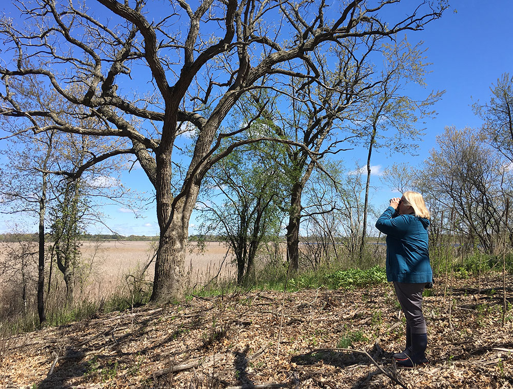 A birder with binoculars at Tichigan Wildlife Area