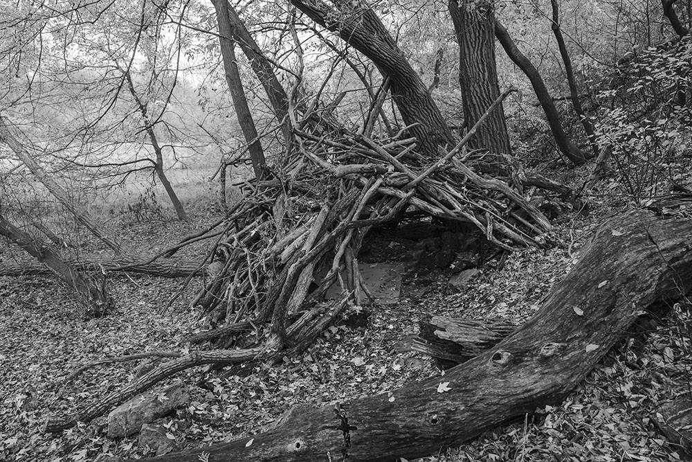 Stick fort in the Milwaukee River Greenway